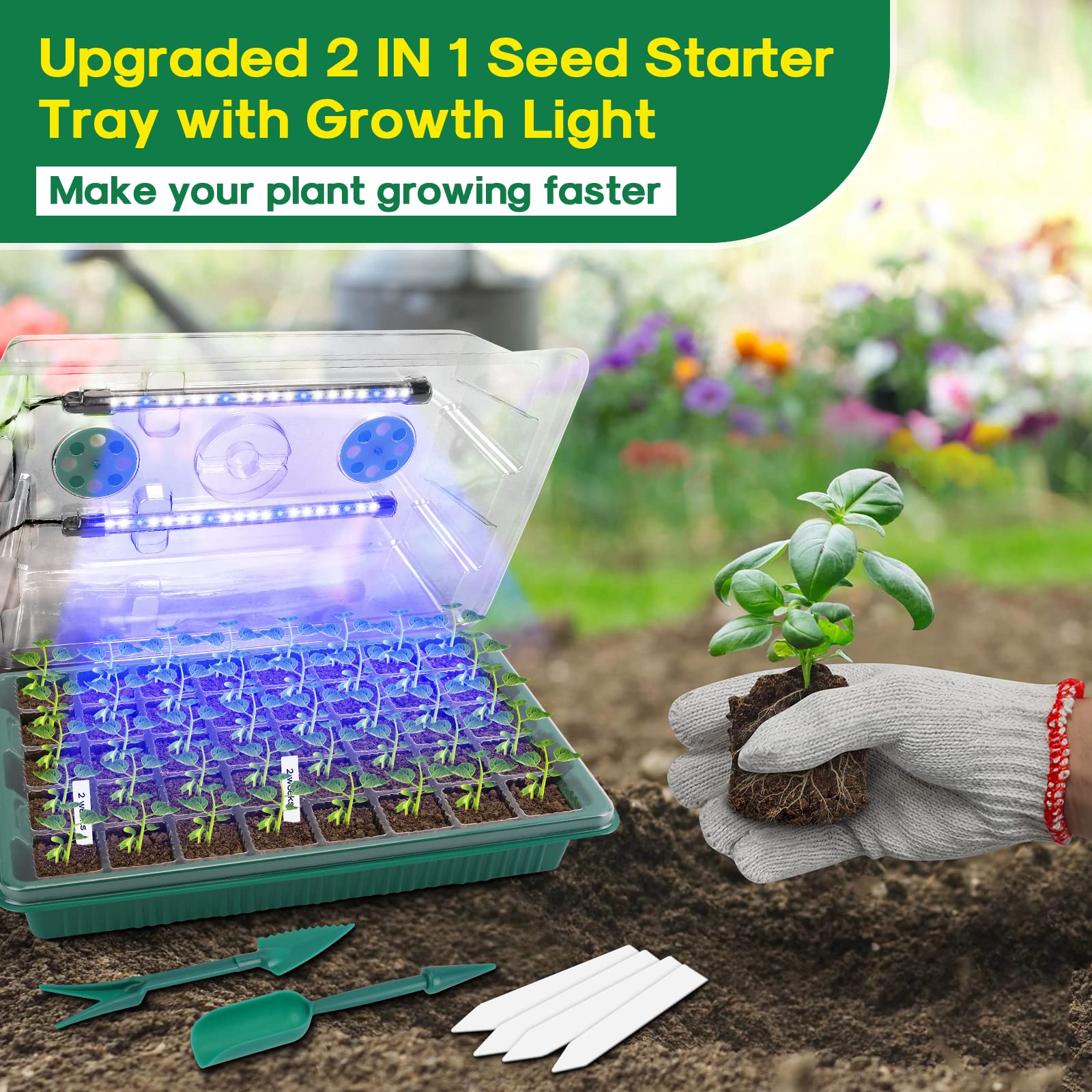 BlumWay seed starting tray in kitchen showing indoor growing convenience