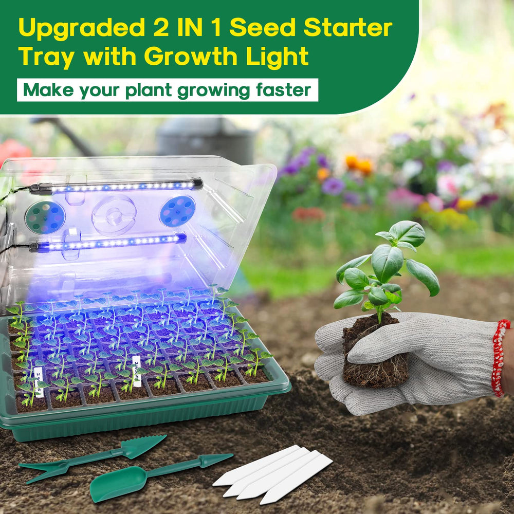 BlumWay seed starting tray in kitchen showing indoor growing convenience