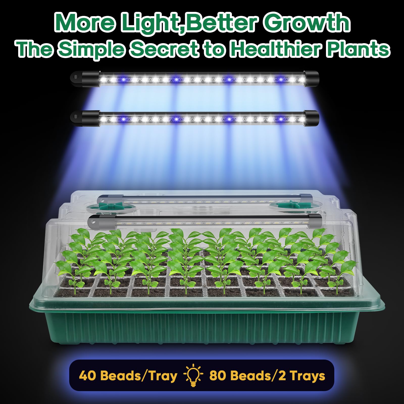 Two BlumWay trays side-by-side showing increased seed-starting capacity