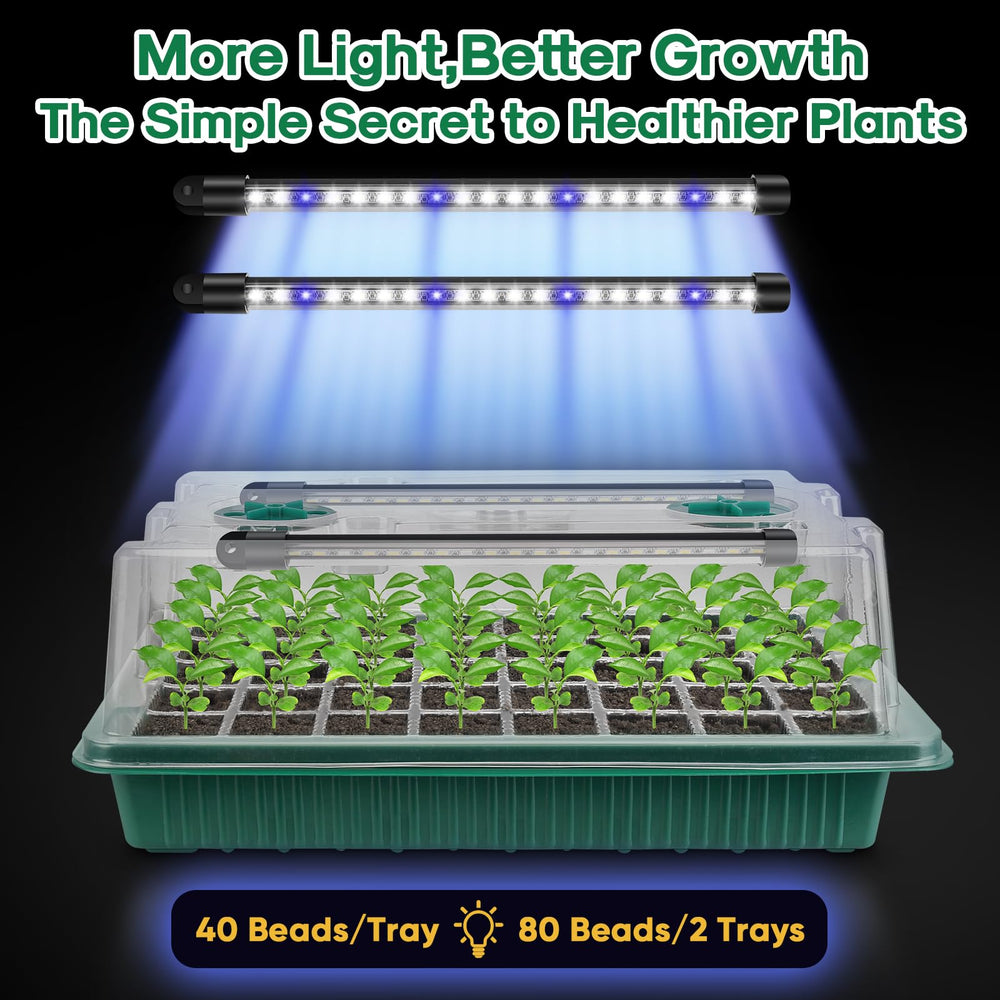 Two BlumWay trays side-by-side showing increased seed-starting capacity