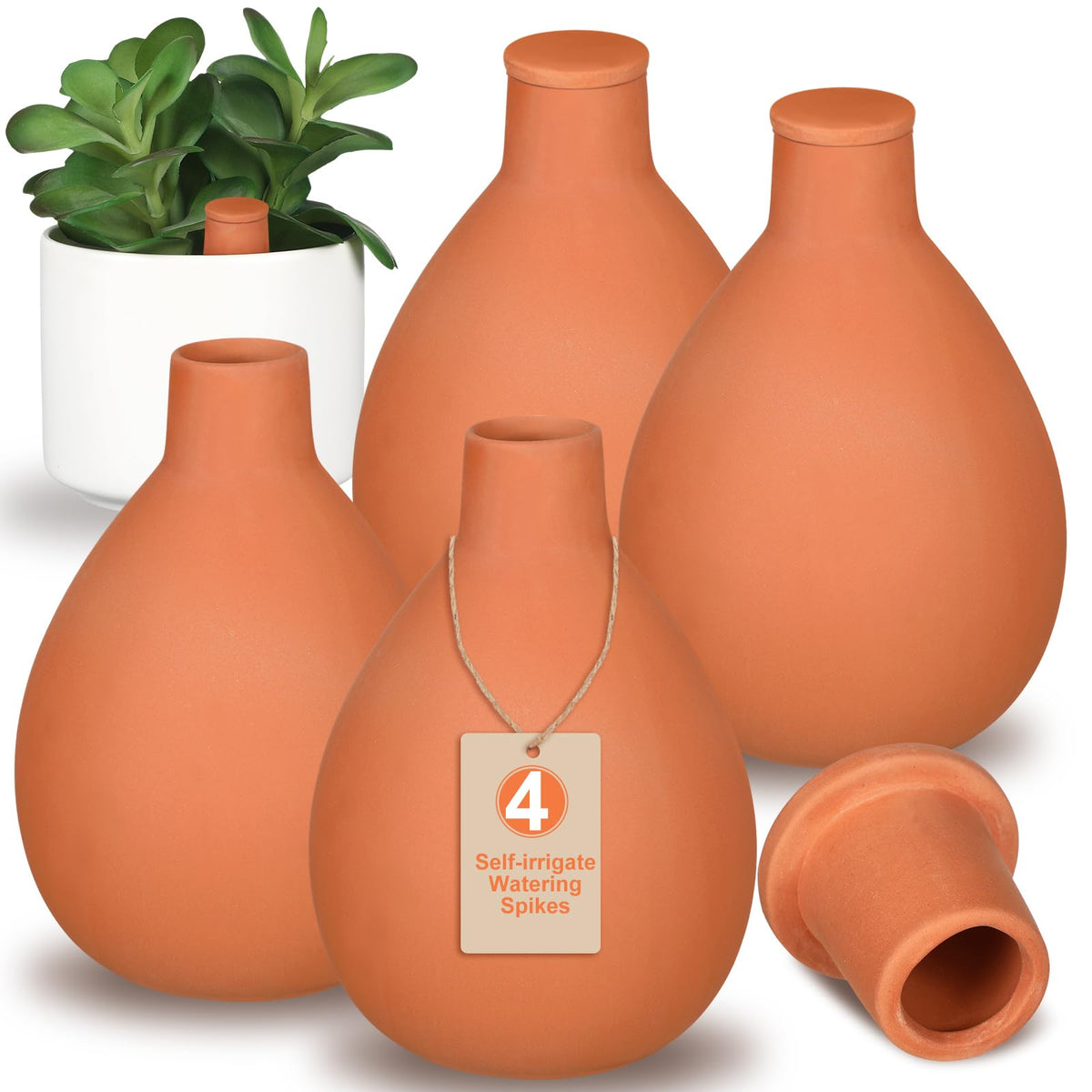 Blushtier front view of four terracotta olla set showing complete package benefit