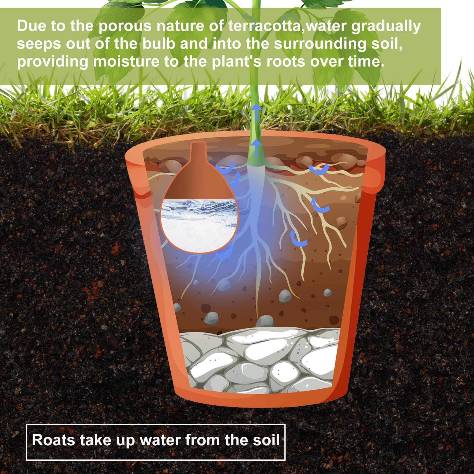 Blushtier installed in raised bed showing outdoor water-saving functionality