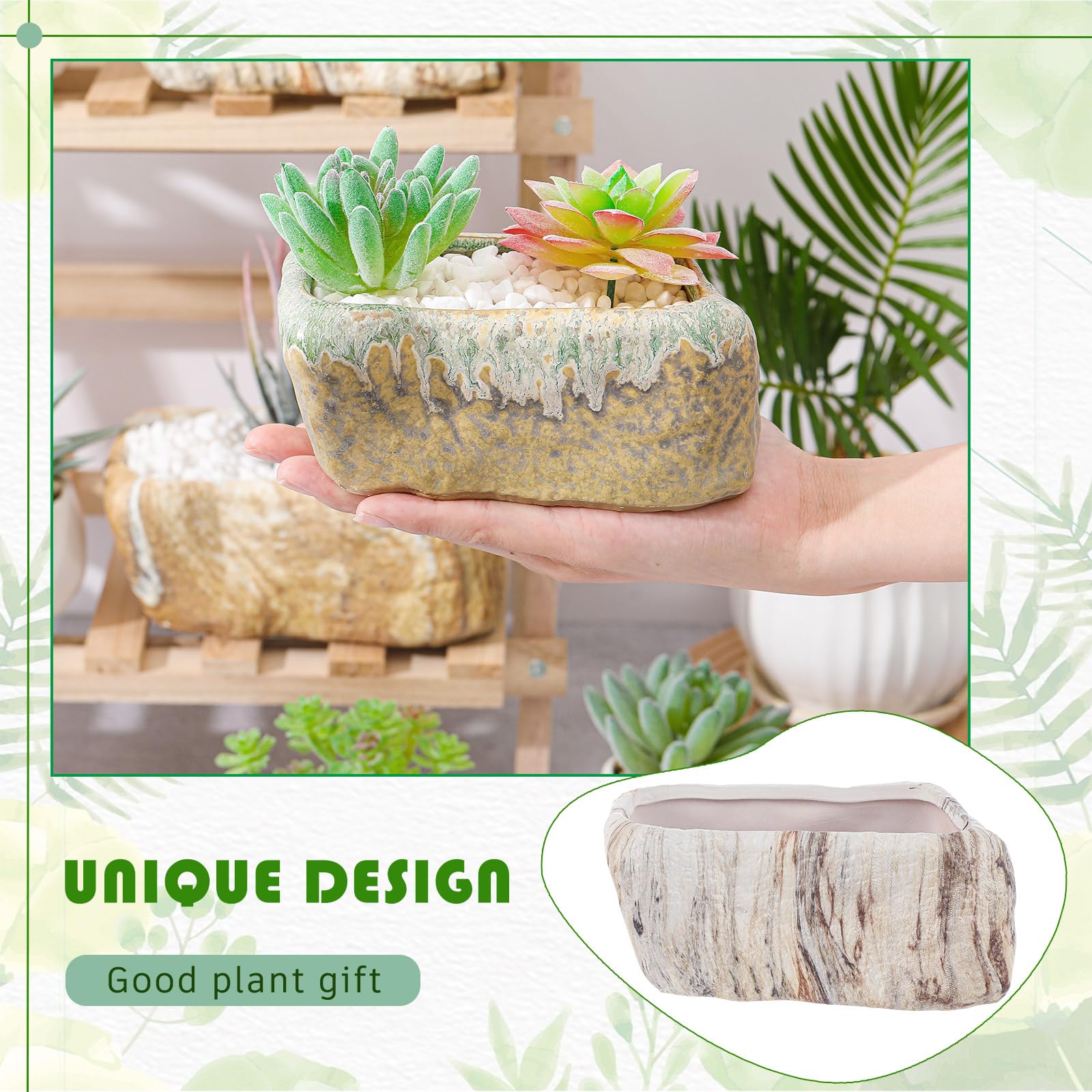 Blushtier pot held in hand to show scale for selecting appropriate plant sizes