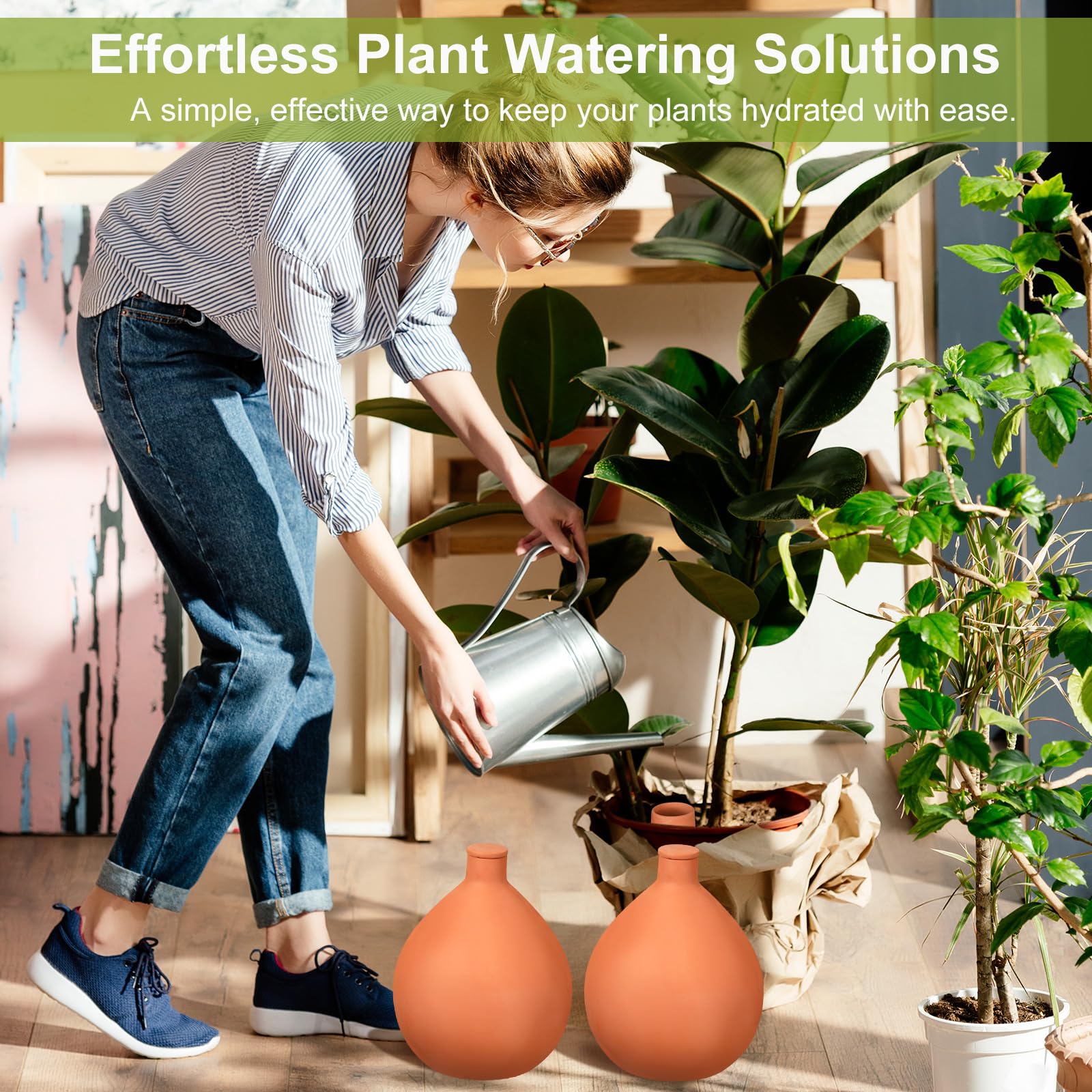 Blushtier next to standard pot showing scale and suitability for larger containers