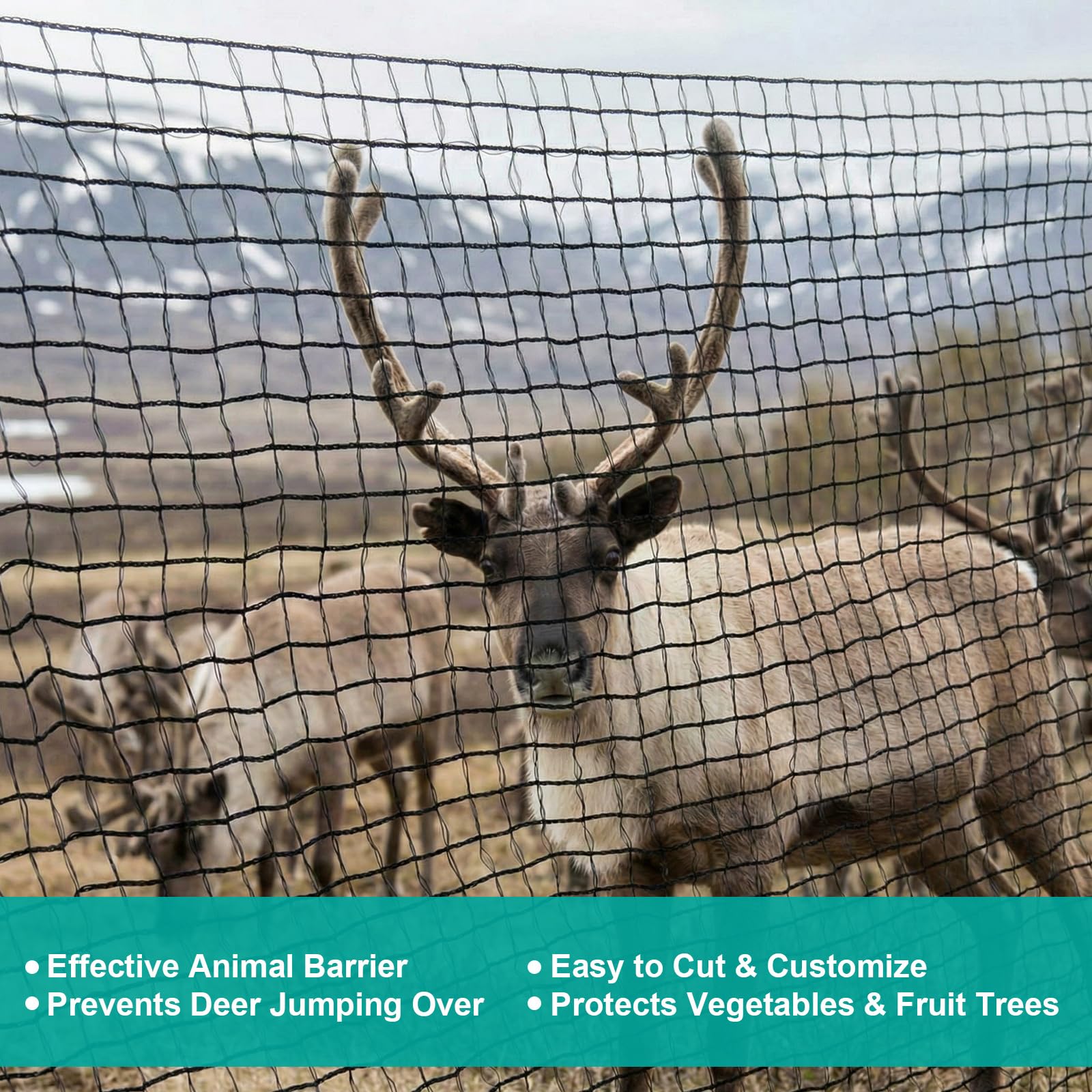 Boao netting protecting a fruit tree illustrating pest exclusion and airflow benefits