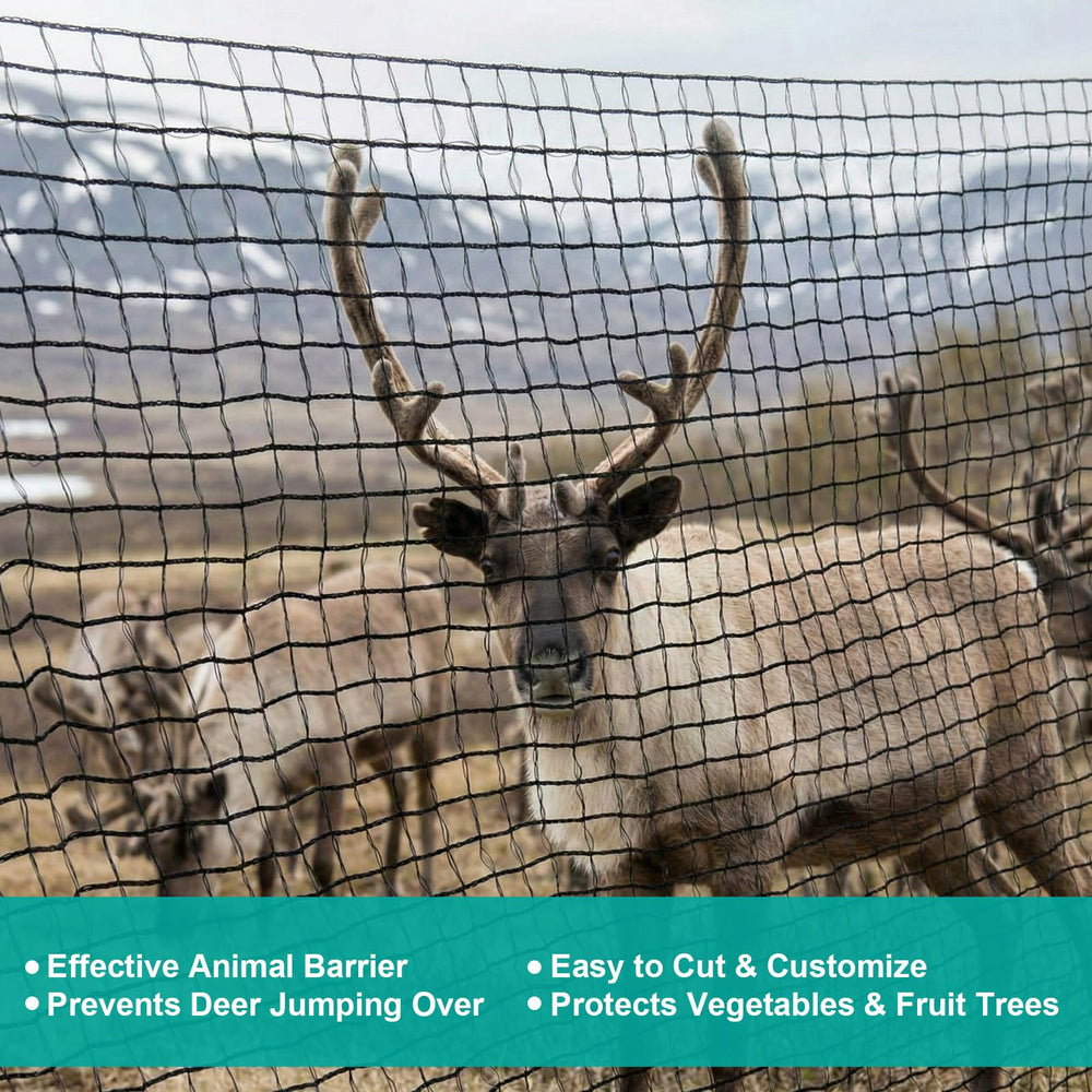 Boao netting protecting a fruit tree illustrating pest exclusion and airflow benefits