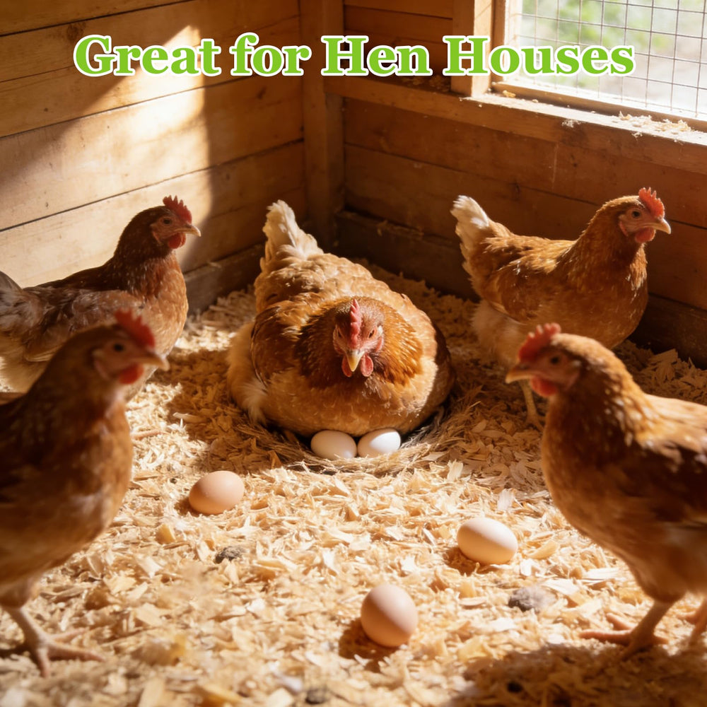 BobbleT bedding spread in coop illustrating cleaner, drier environment