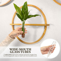 Bohemian Roots glass tubes detail showing thicker glass and clear root visibility