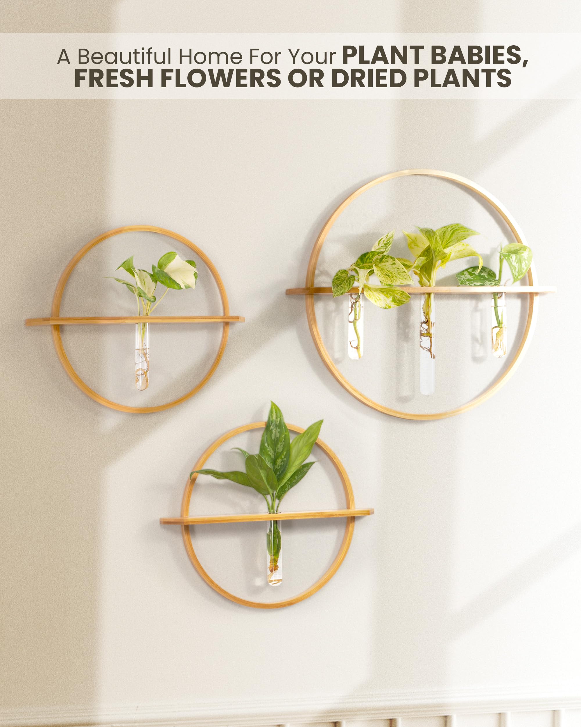 Bohemian Roots wall-mounted styling with tubes displayed as minimalist plant decor