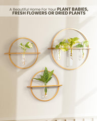 Bohemian Roots wall-mounted styling with tubes displayed as minimalist plant decor