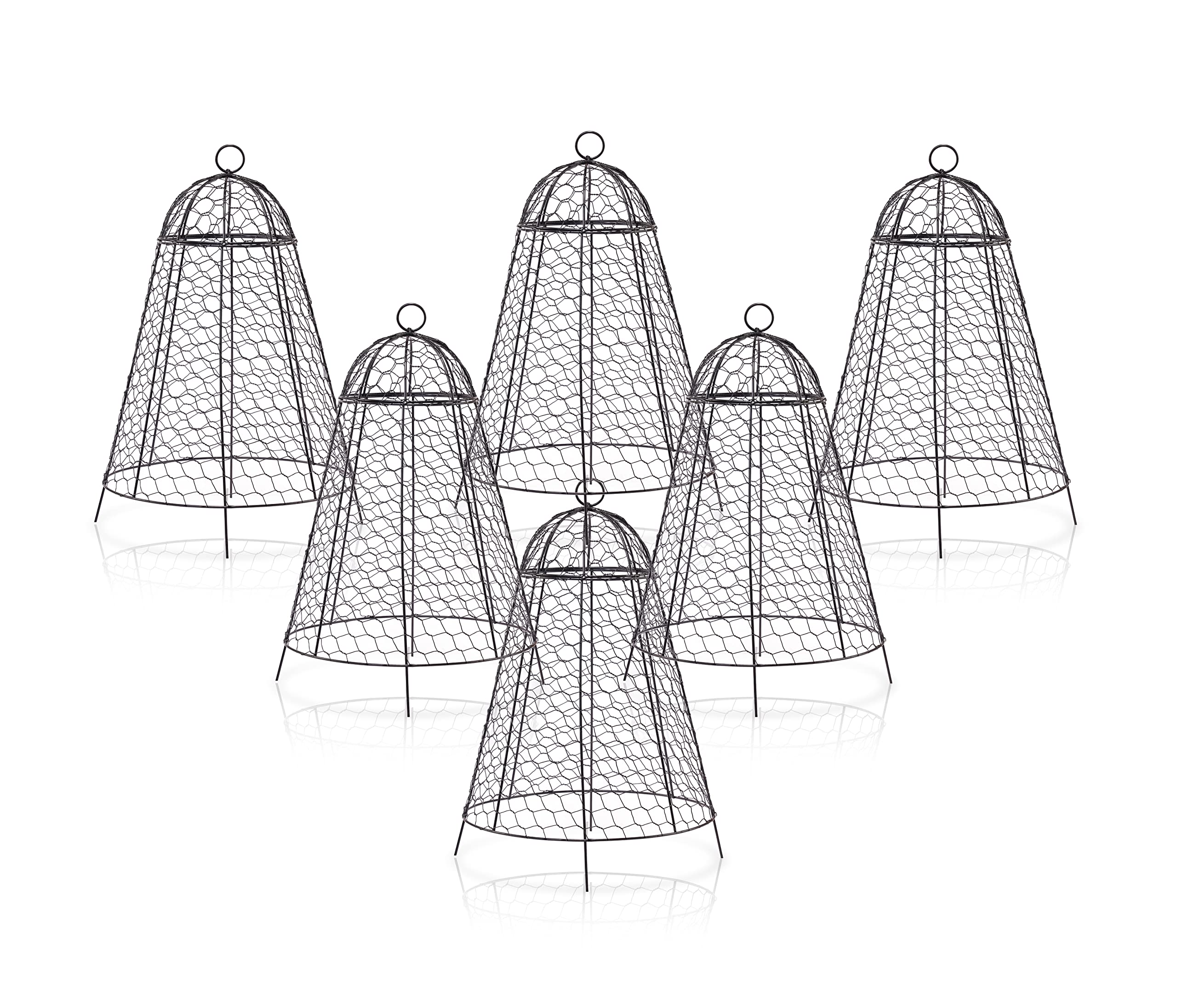 boldworks front view pack of six cloches showing full set and stability benefit