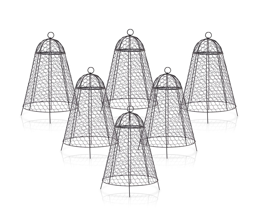 boldworks front view pack of six cloches showing full set and stability benefit