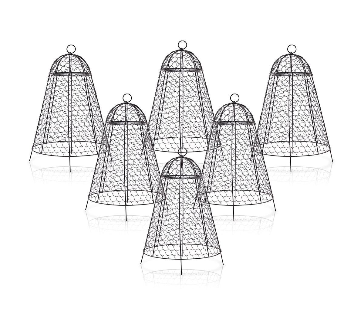 boldworks front view pack of six cloches showing full set and stability benefit