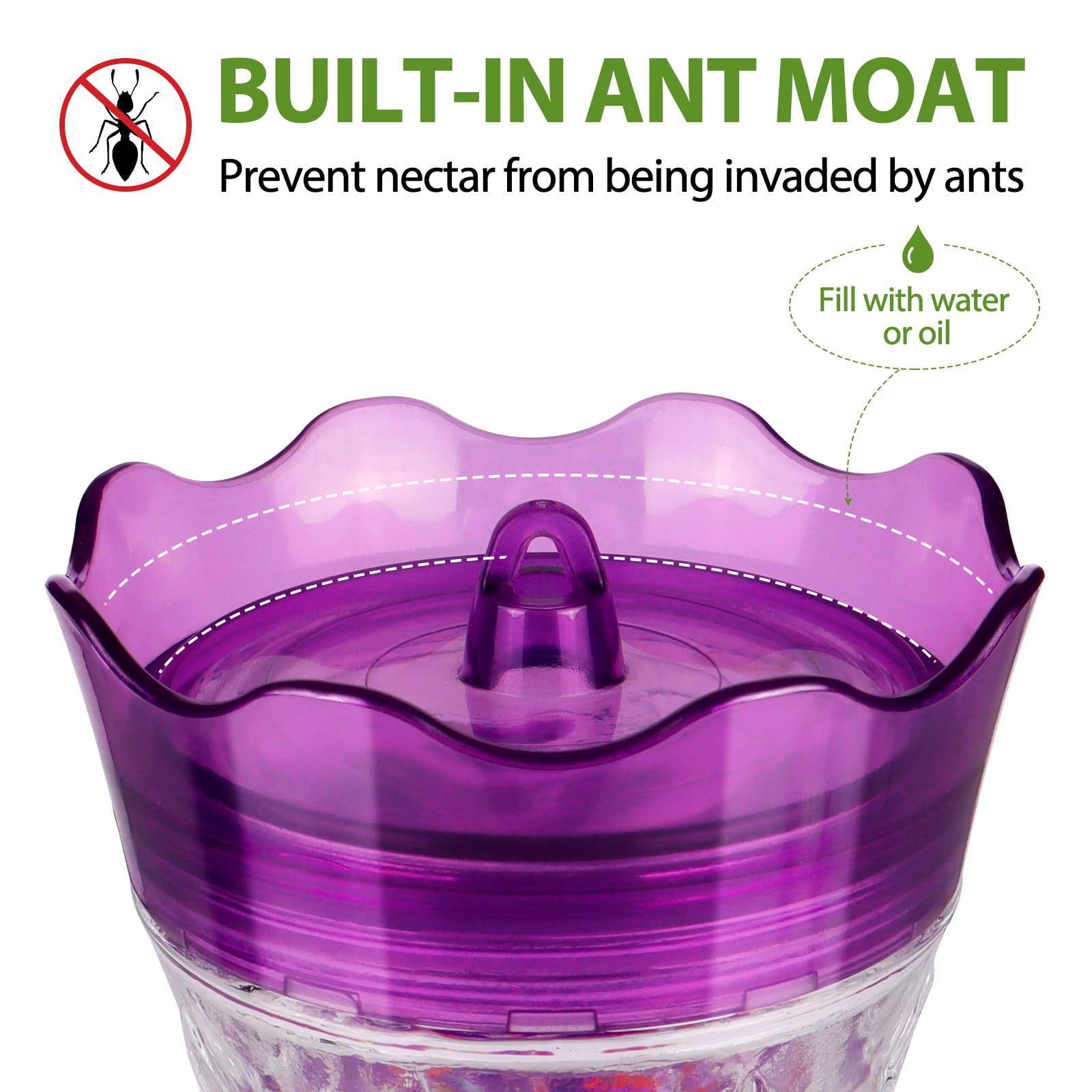 BOLITE ant moat top view showing water barrier to help block ants