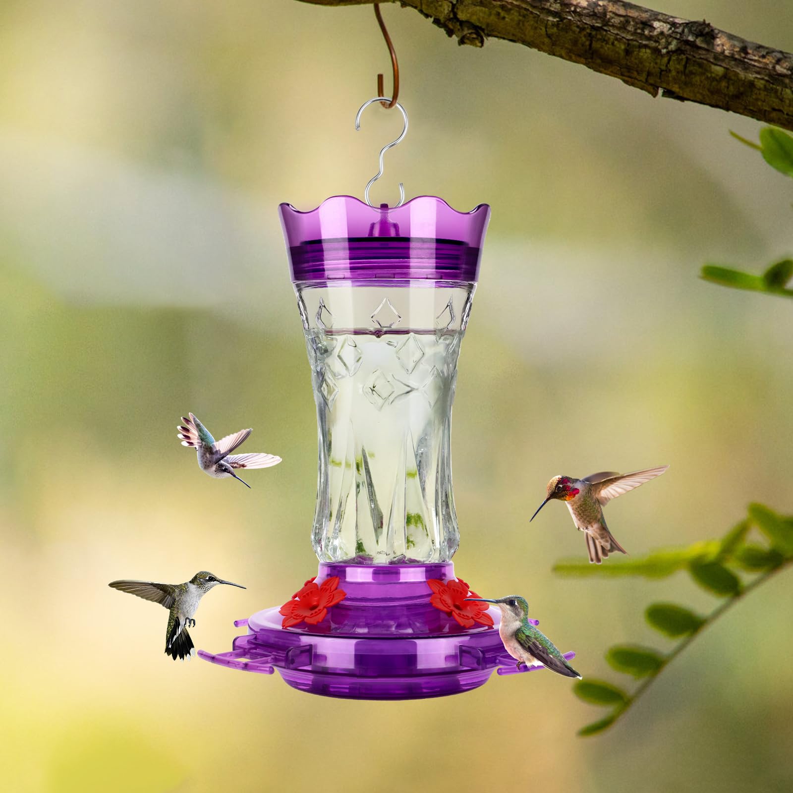 BOLITE feeder hanging in garden showing easy outdoor display for birdwatching