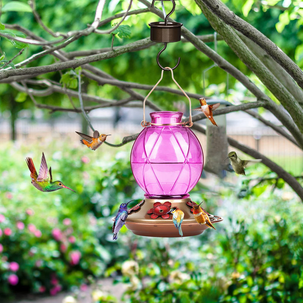 BOLITE feeder hanging in garden to attract hummingbirds and beautify outdoor space