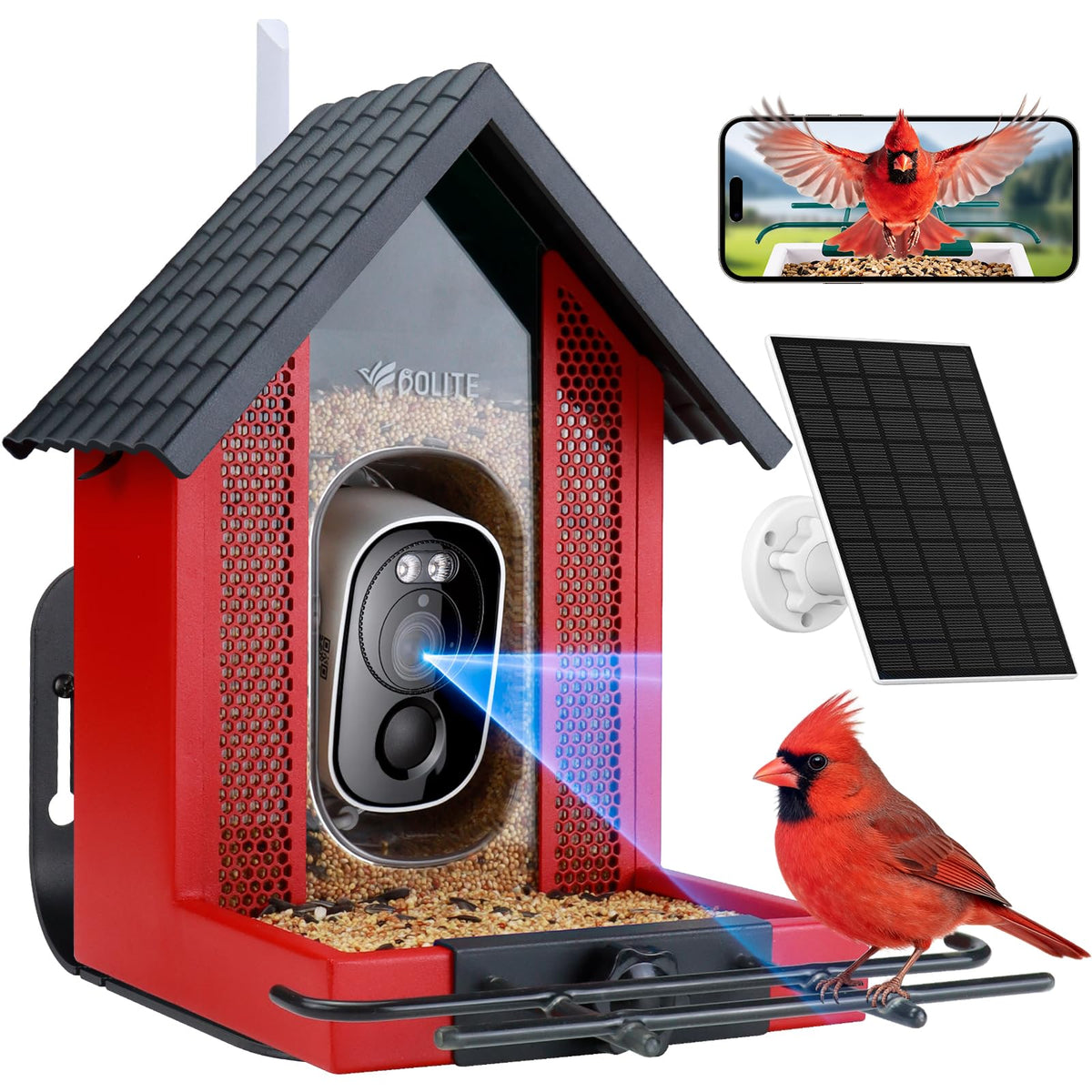 BOLITE red feeder front view showing design and mounting ease