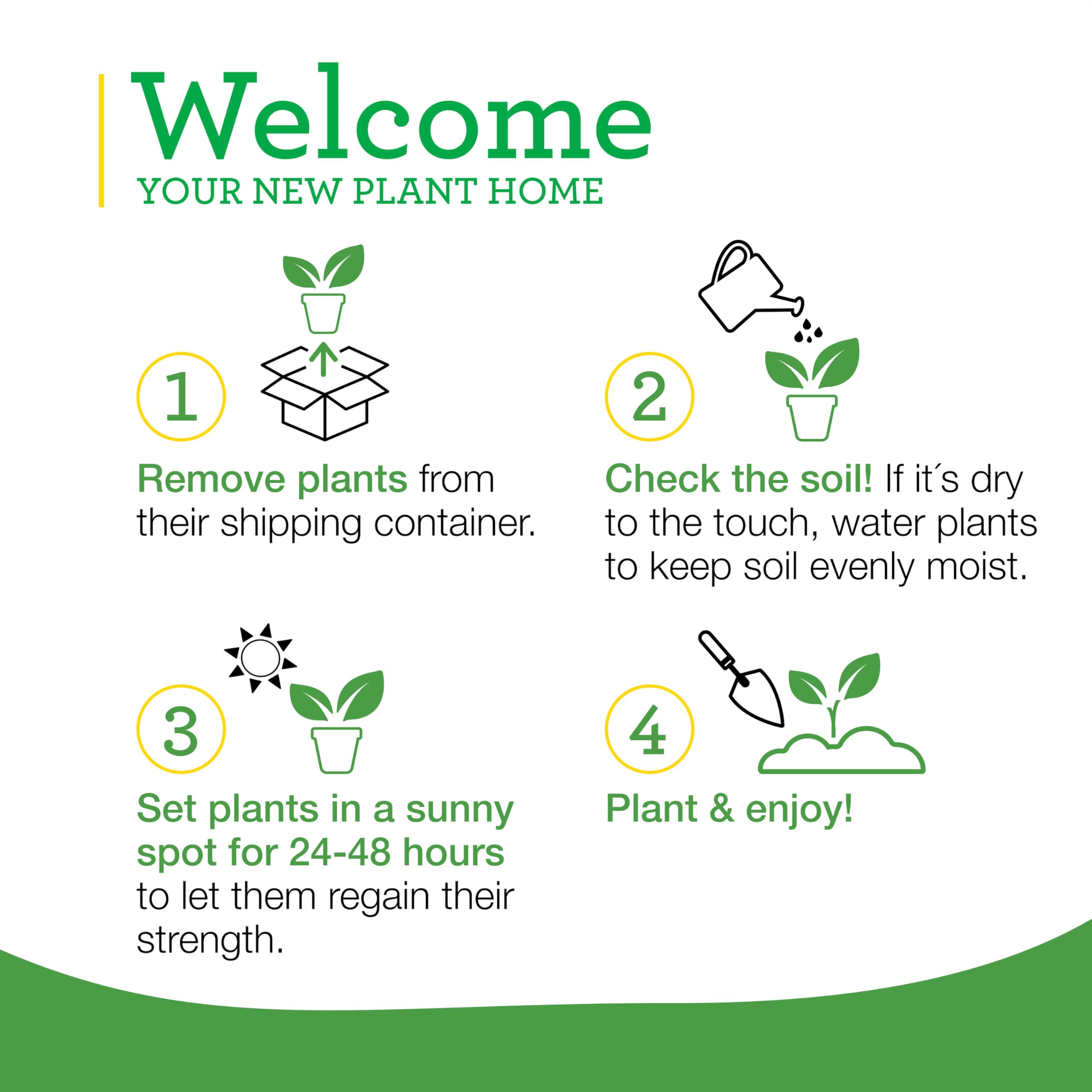 Bonnie Plants indoors on windowsill for overwintering benefit: protect from frost