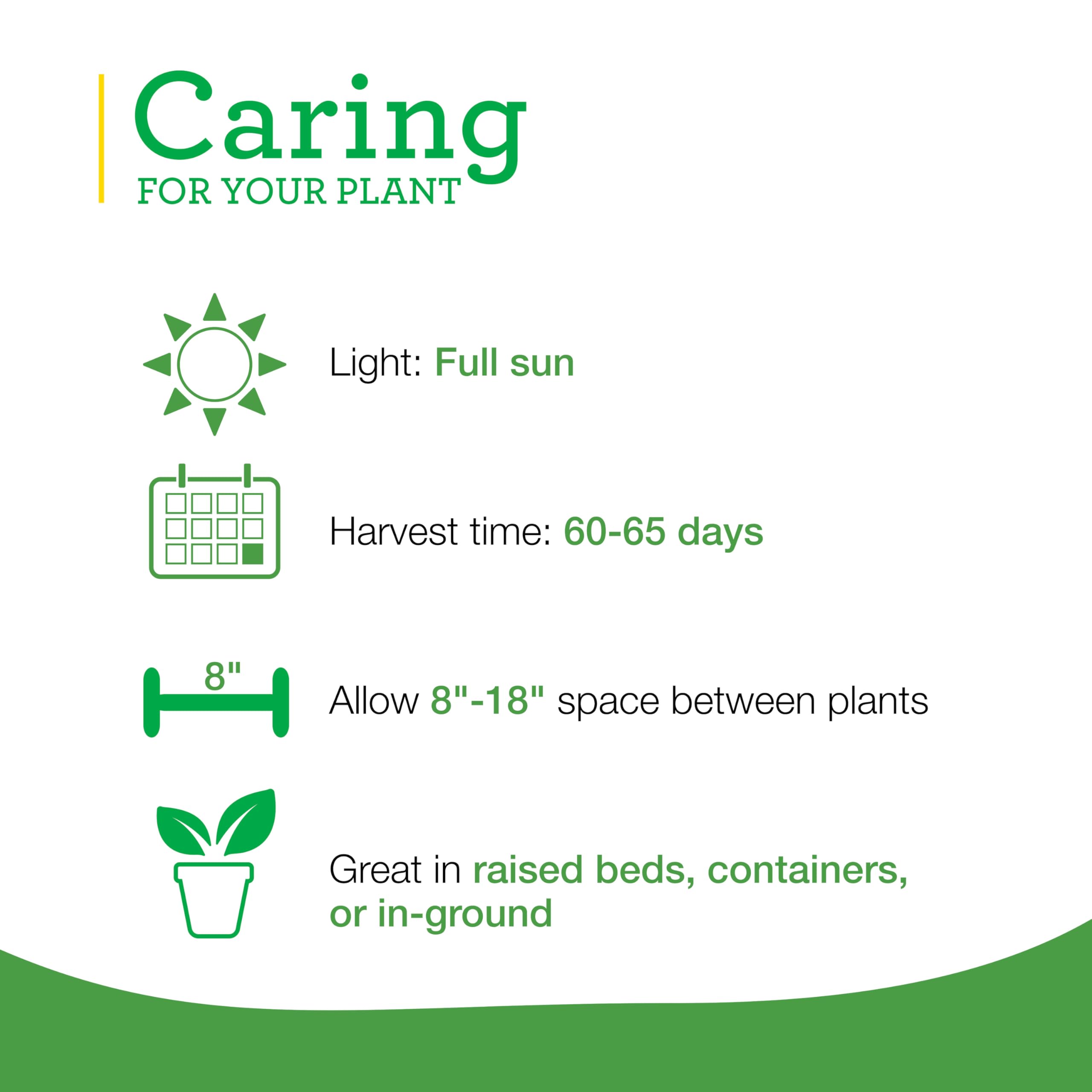 Bonnie Plants hand rubbing leaves to release fragrance benefit: immediate citrus aroma