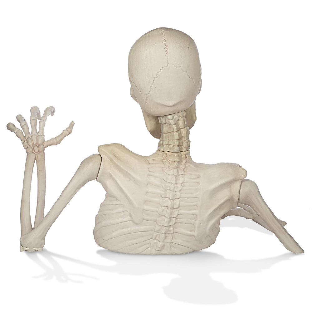 BOO BOX detailed shot of raised left arm showing dramatic pose and lifelike angle
