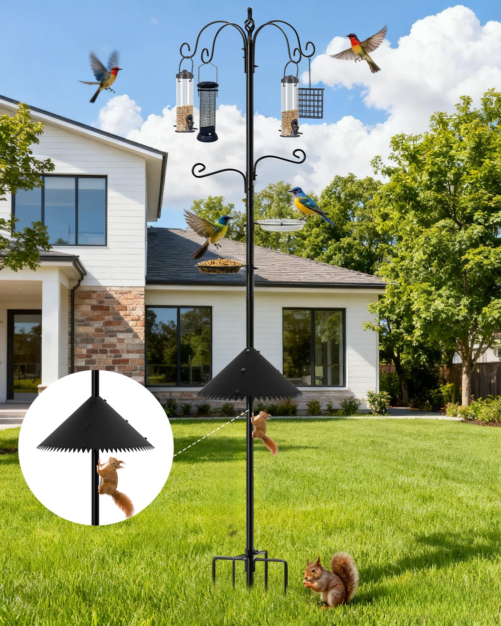 boostool installed in garden setting drawing songbirds to a yard habitat