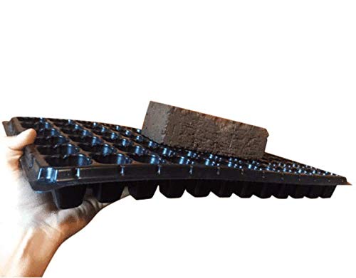 Bootstrap Farmer 1020 flat close-up showing sturdy rim and drainage for propagation