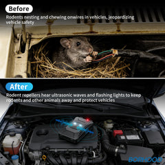 BORHOOD installed in garage illustrating multi-scenario rodent protection