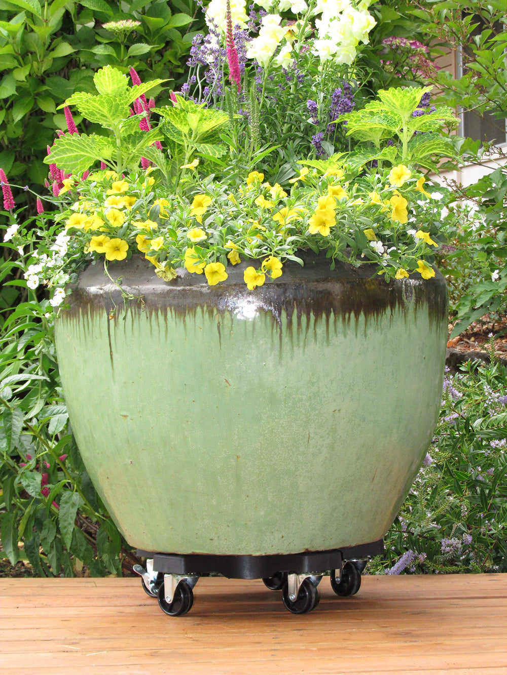 Bosmere next to a large pot showing 14-inch scale and fit benefit