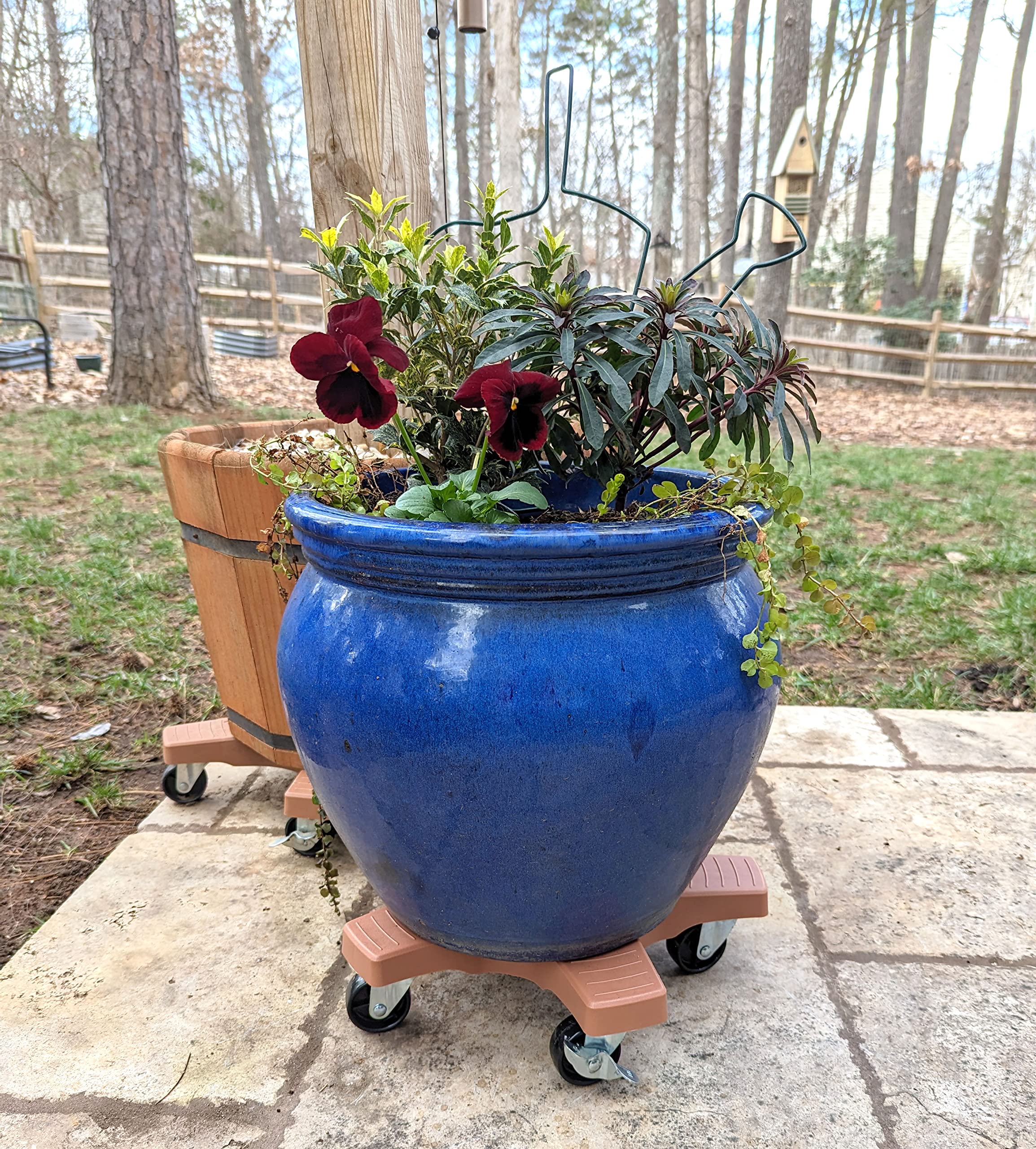 Bosmere plant caddie shown with tape measure and hand for clear size comparison