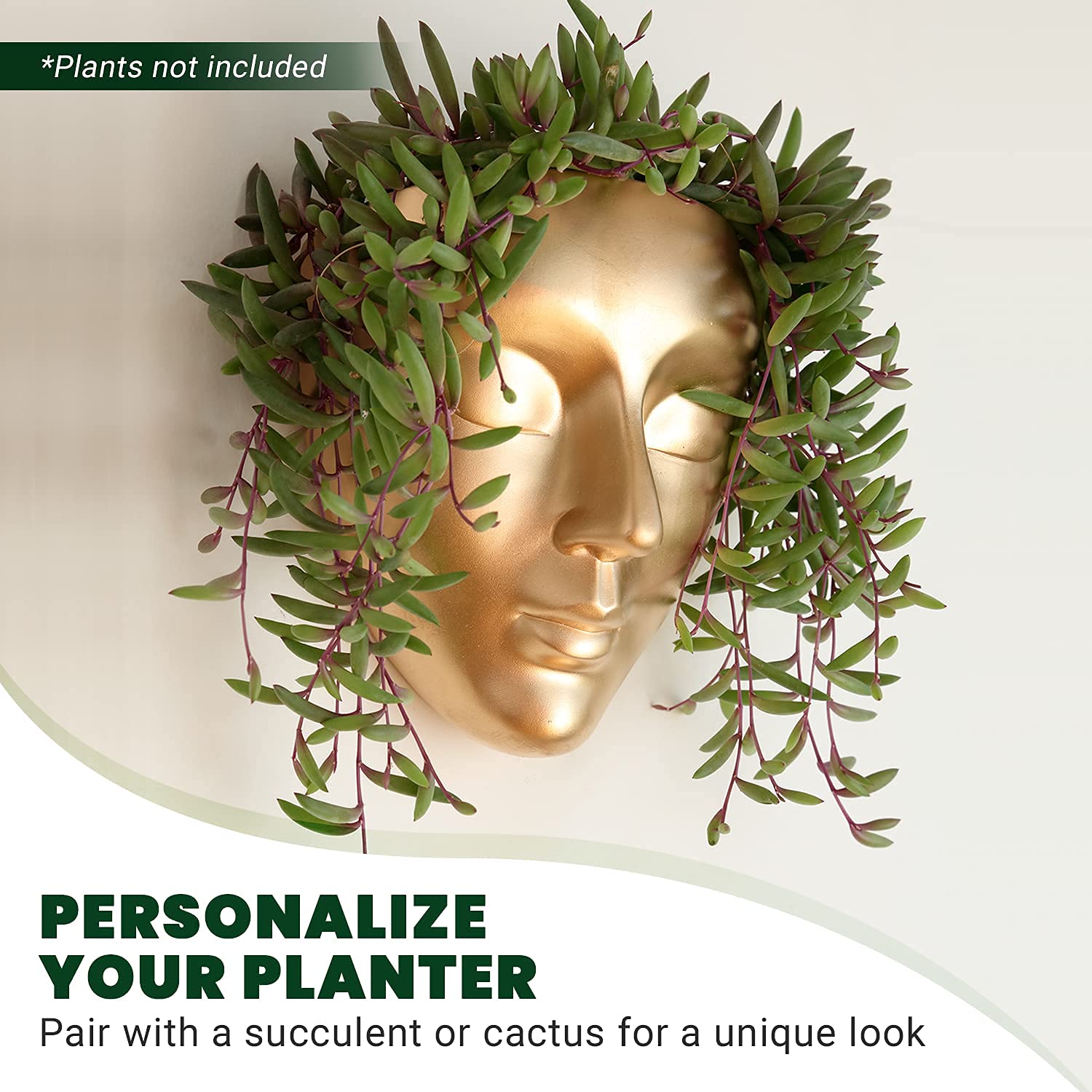 Bossa Linda planter mounted with succulent illustrating live-plant visual impact