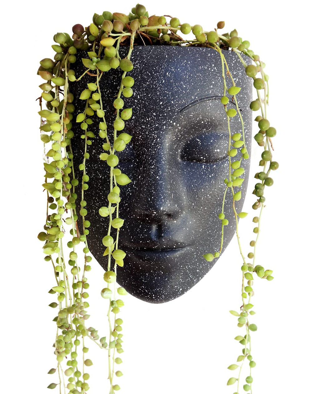 Bossa Linda front view showing face planter and matte black finish, adds modern style