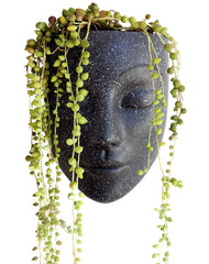 Bossa Linda front view showing face planter and matte black finish, adds modern style