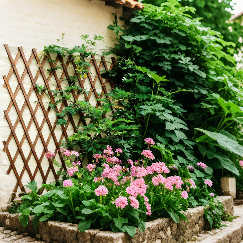Bounmer trellis fully expanded to 38 by 89 inches for broad plant support