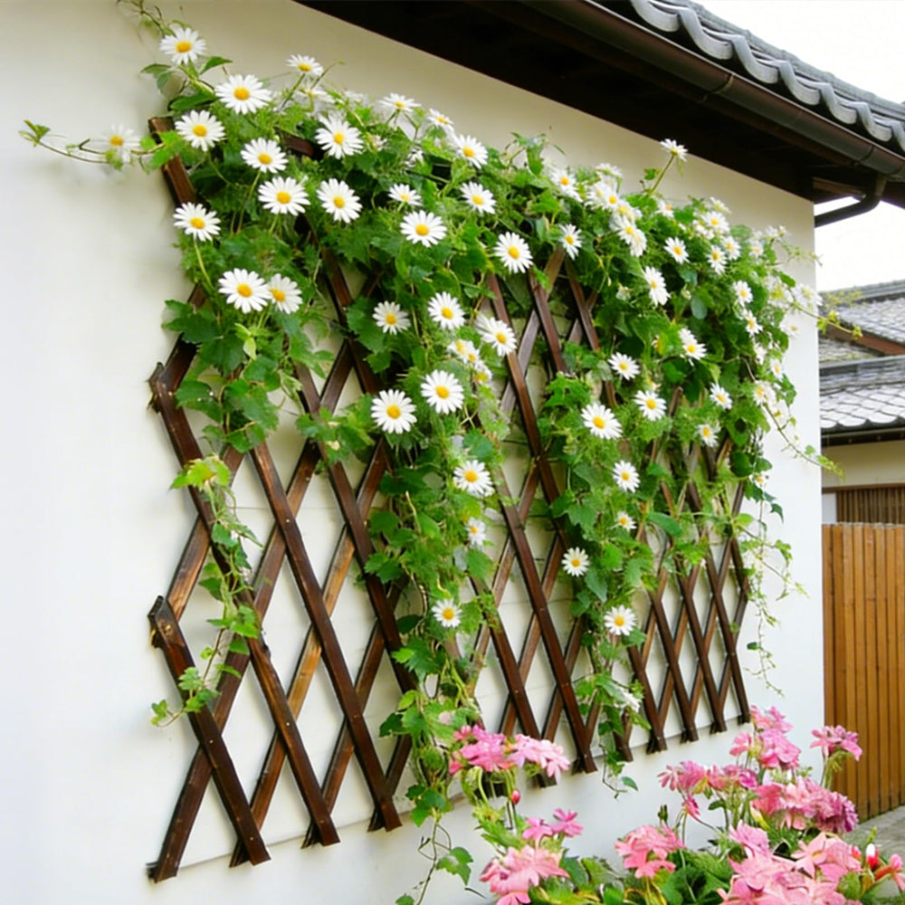 Bounmer trellis mounted on outdoor wall creating instant vertical garden benefit