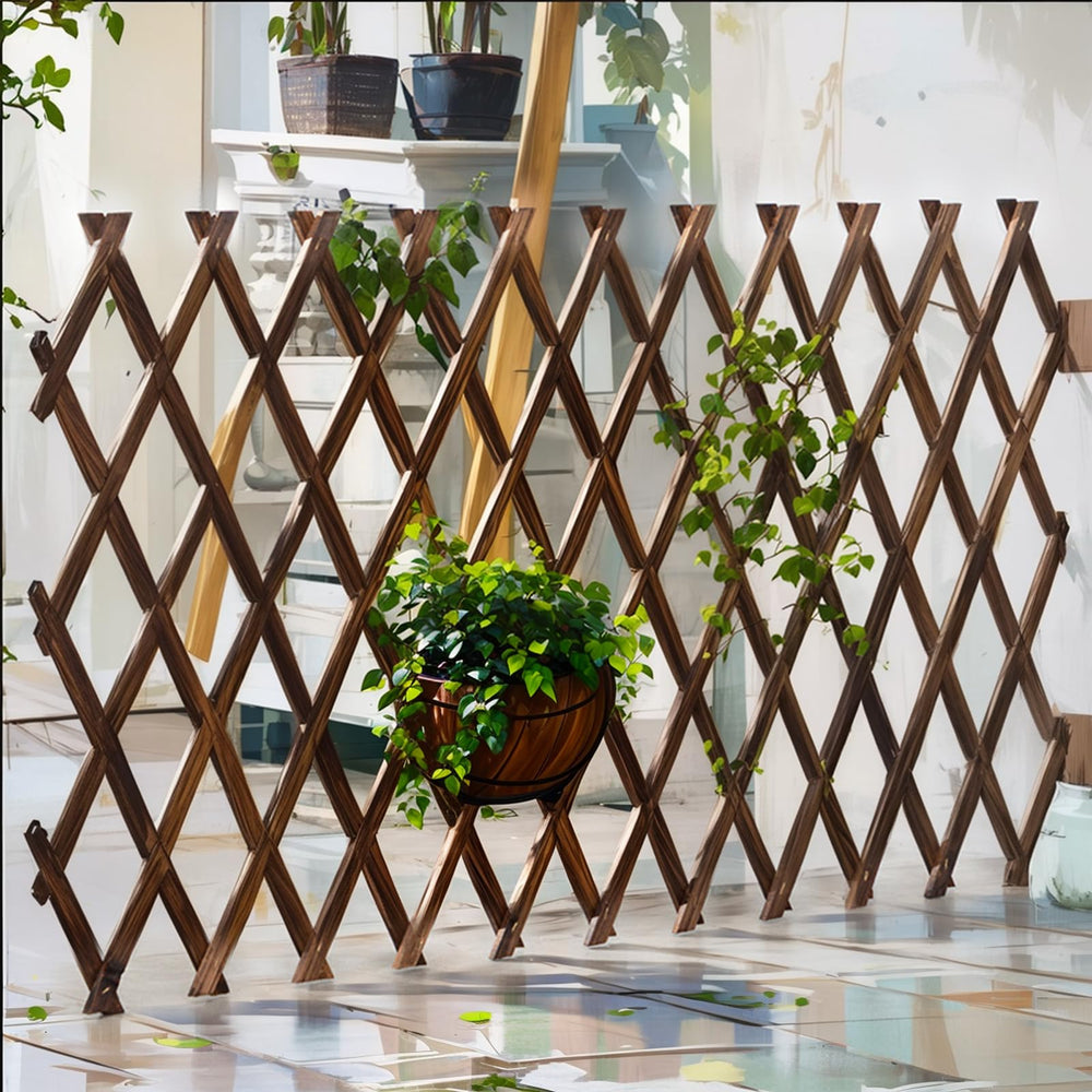 Bounmer trellis folded in packaging for compact storage and transport benefit