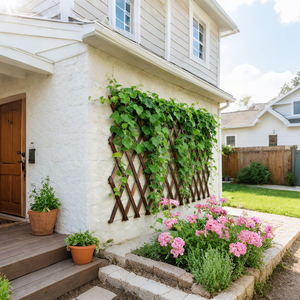 Bounmer trellis supporting climbing ivy to add greenery and privacy benefit