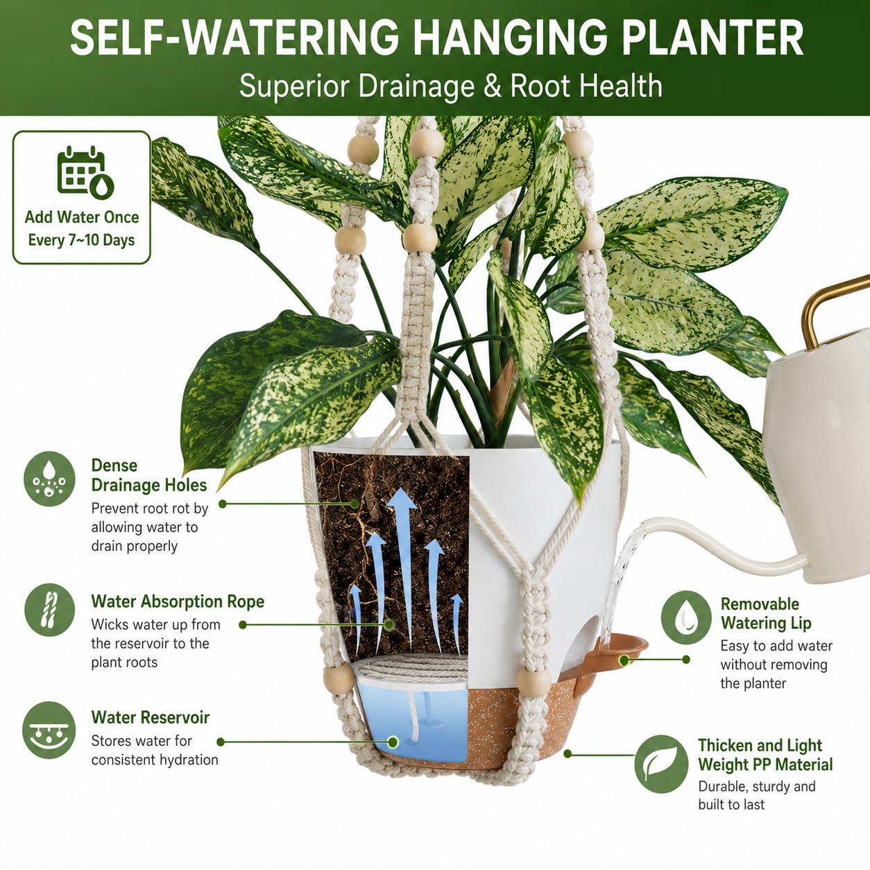 Bouqlife hanging planters installed in living room, creates vertical greenery and saves floor space