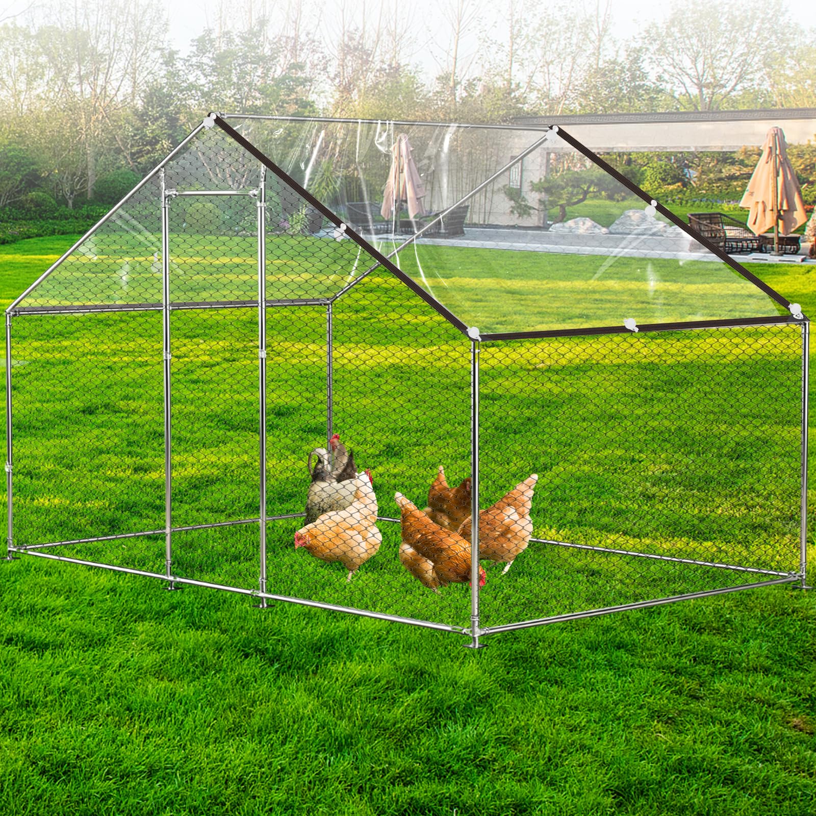 BOUTICOL installed on wooden coop keeping poultry dry and visible