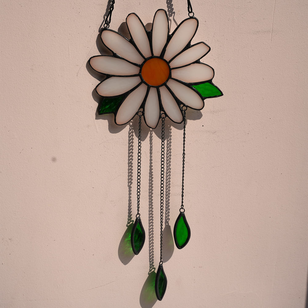 BOXCASA daisy hanging in window casting colorful light into room