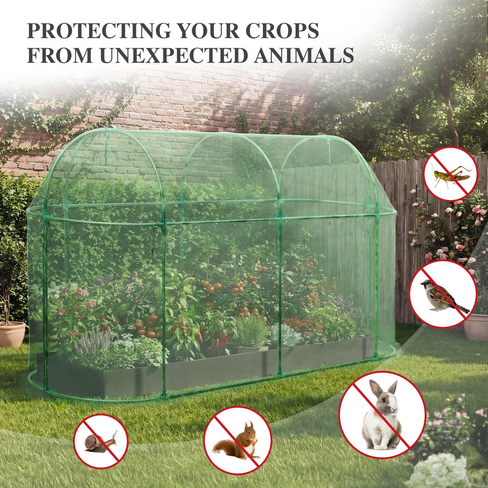 BPS crop cage installed over raised bed protecting vegetables from pests