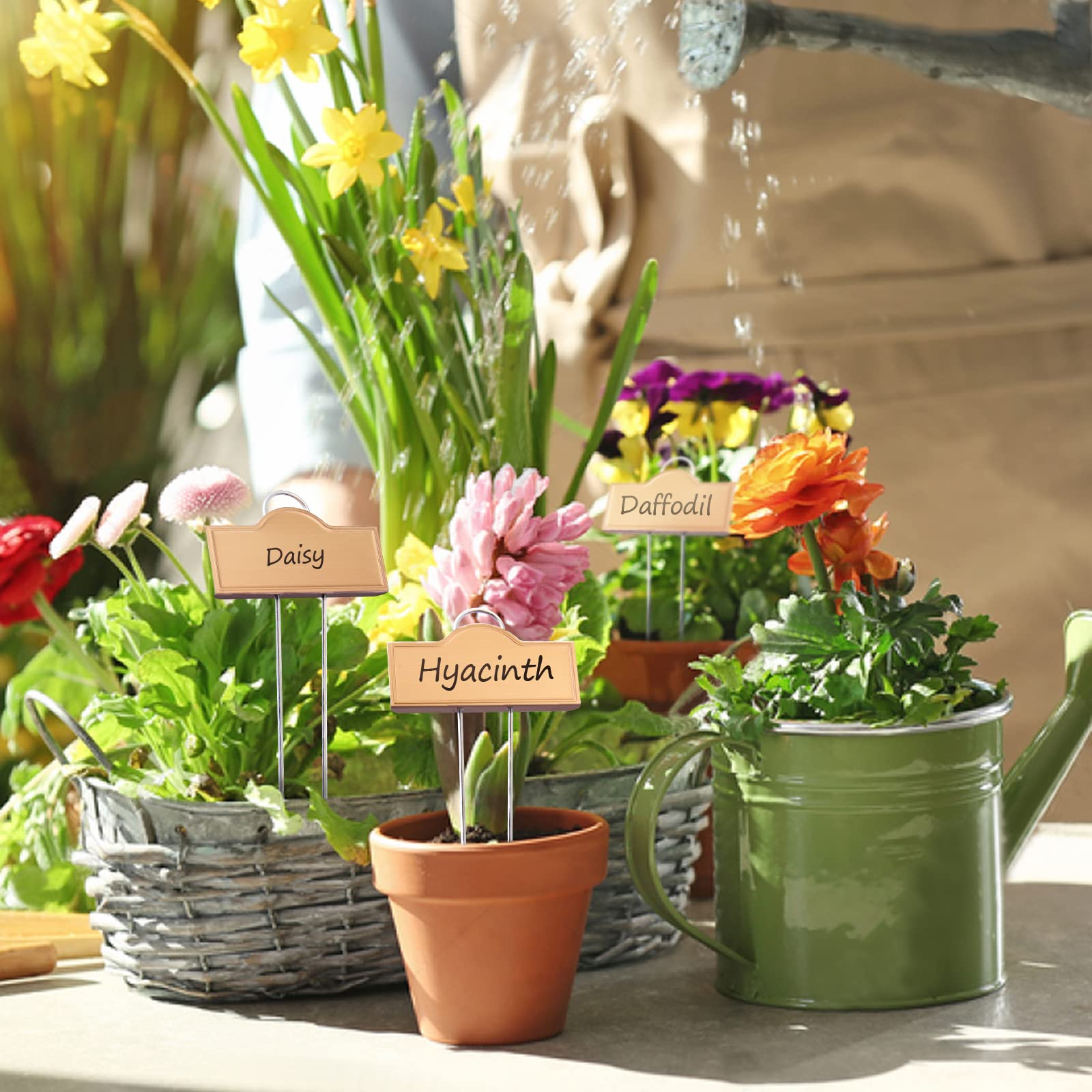 bravex garden scene with labels in vegetable bed for easy plant identification benefit