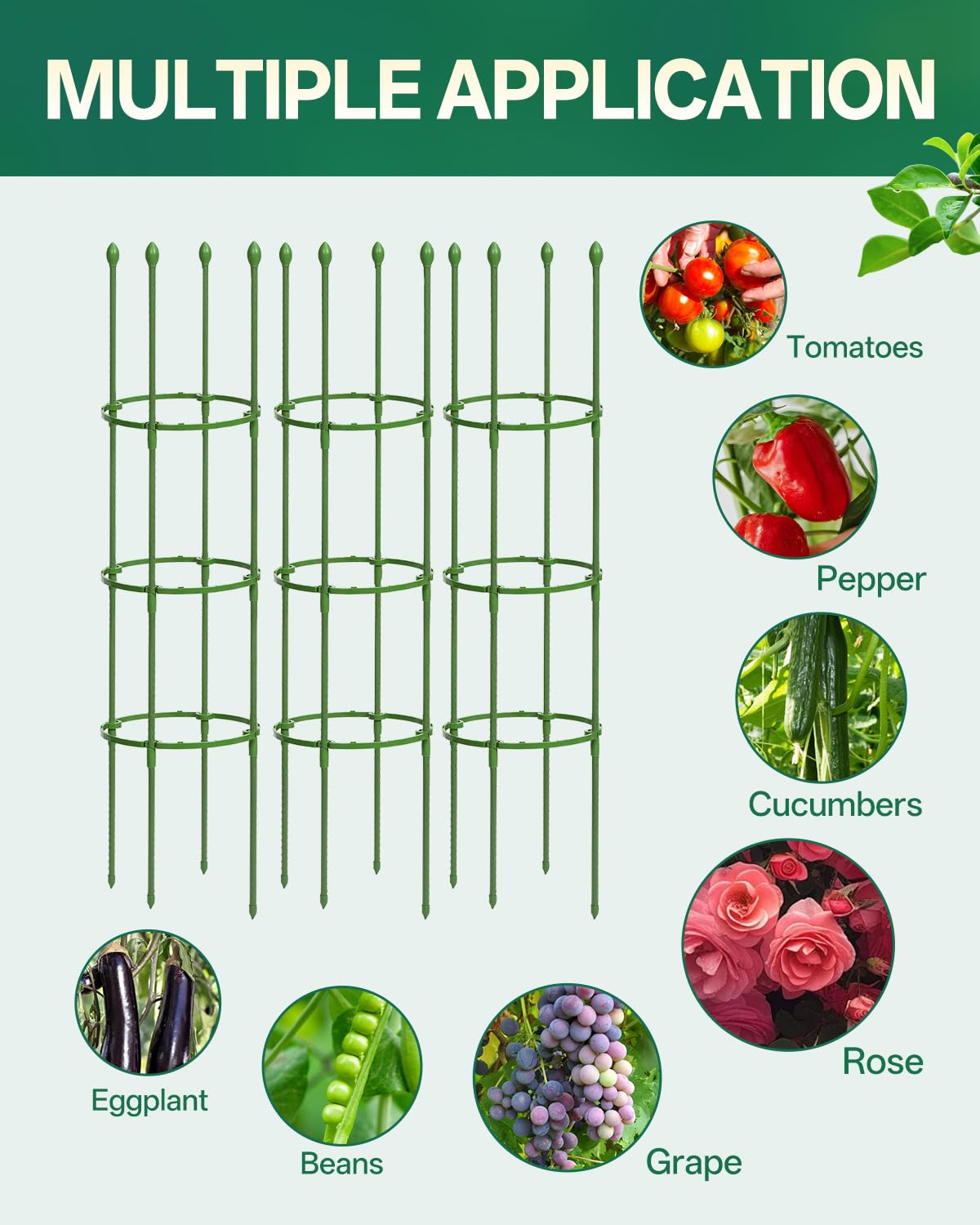 Breeze Touch gardener harvesting tomatoes from supported plant with ease