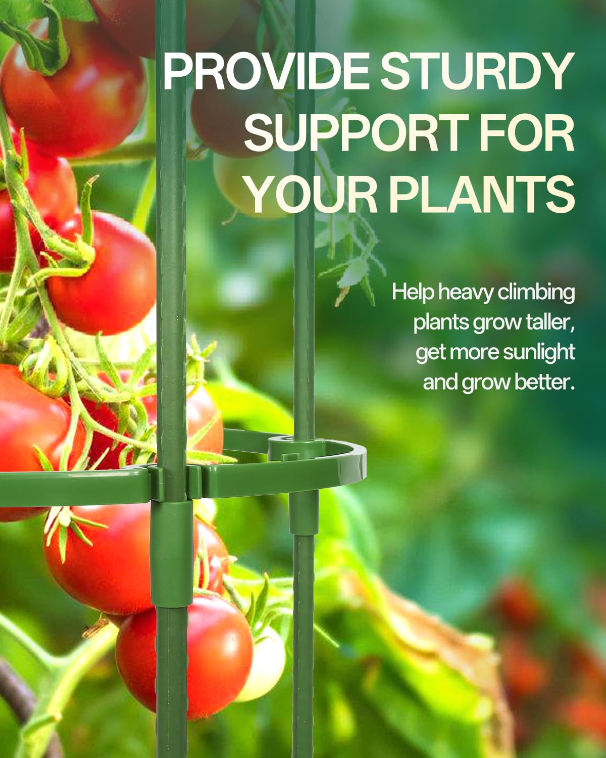 Breeze Touch cage in a planter pot stabilizing tomato plant and saving space