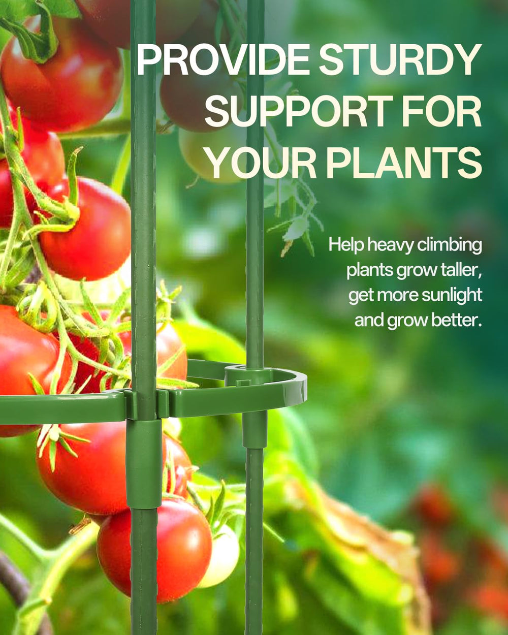 Breeze Touch cage in a planter pot stabilizing tomato plant and saving space