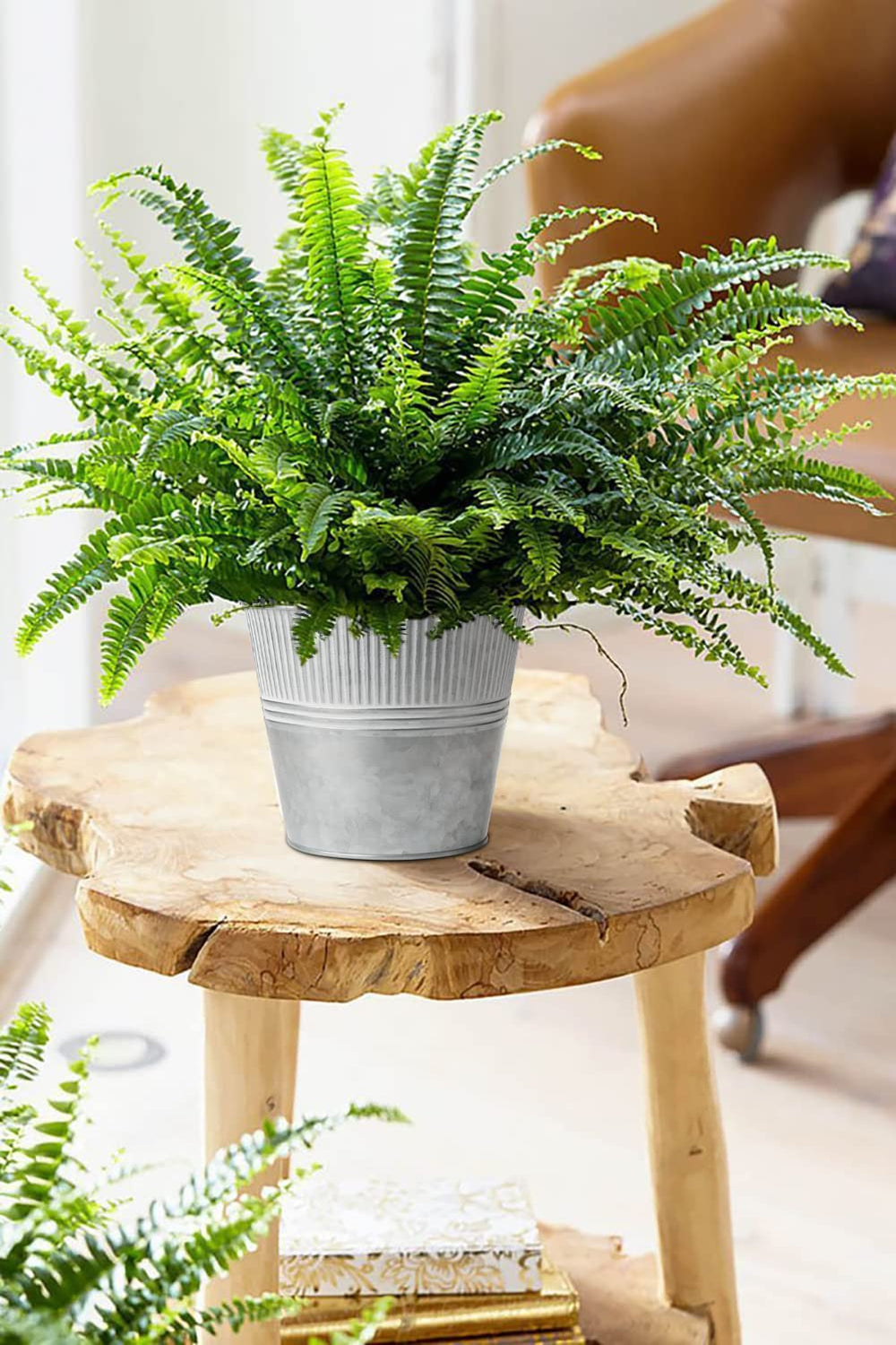 Briful planter with herbs on windowsill demonstrating space-saving indoor gardening