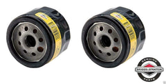 Briggs & Stratton close-up of filter media and gasket highlighting reliable seal