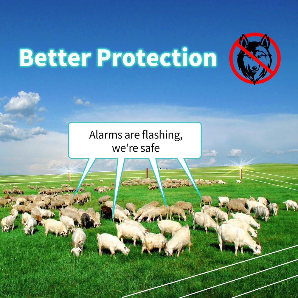 briidea IP67 weatherproof label demonstrating durability in rain