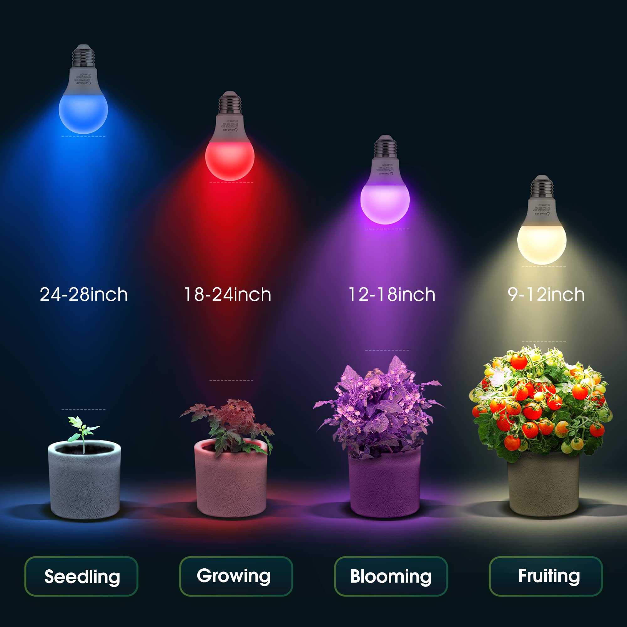 Briignite dim levels display showing five brightness options to tailor light intensity