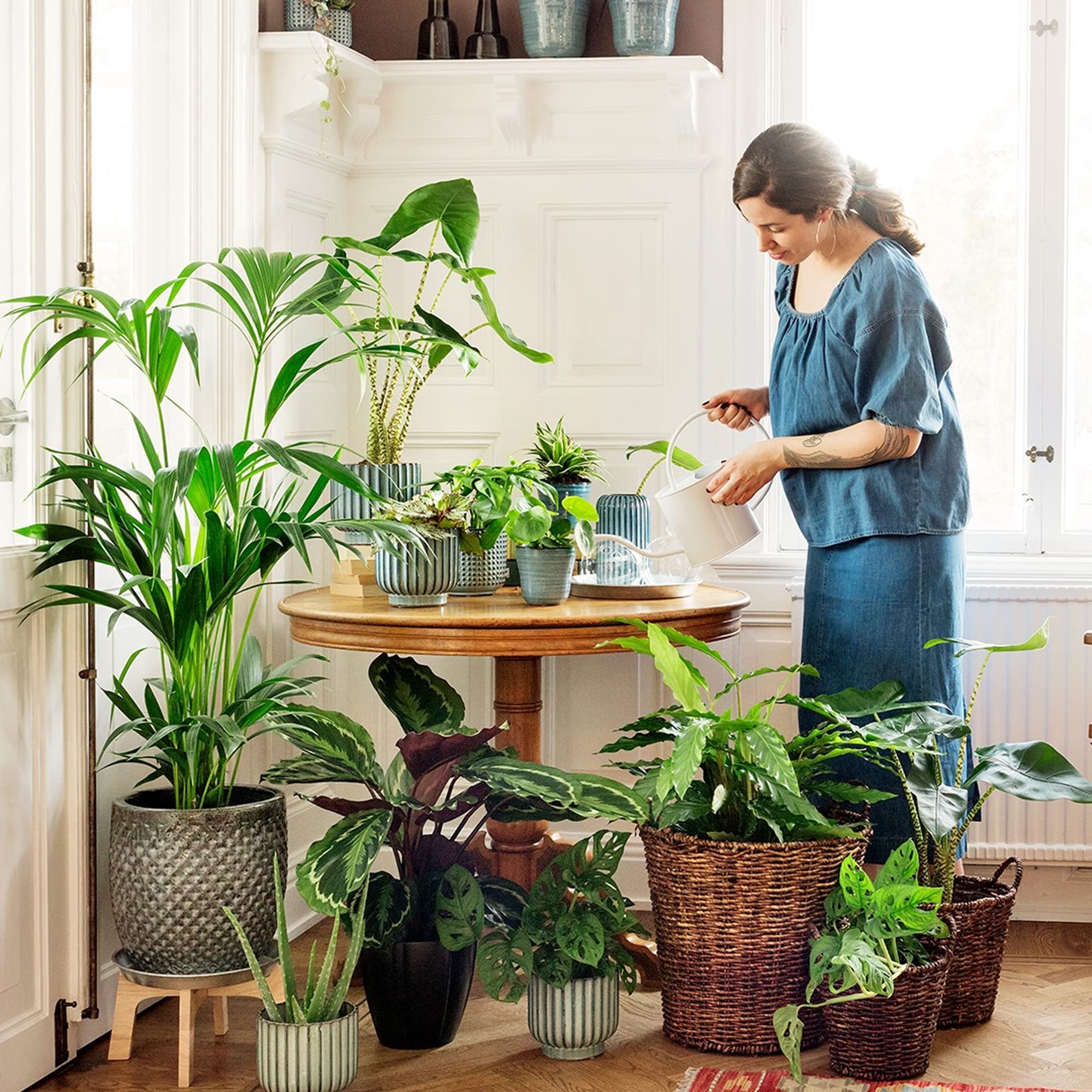 Briignite in a kitchen herb garden demonstrating compact indoor grow support