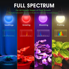 Briignite wide 180-degree beam illuminating a shelf of plants for even coverage